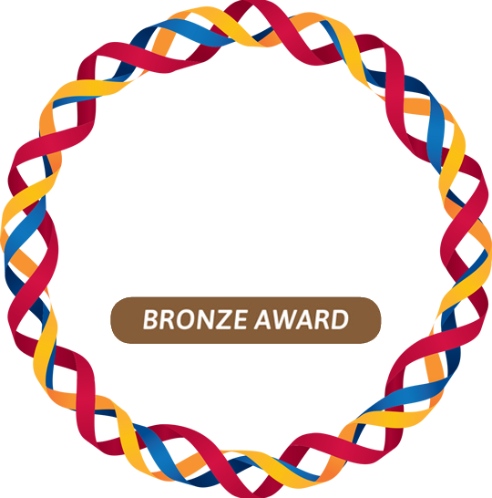 2015 Reimaginne Education Award